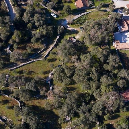 Quinta Dos Canteiros ファティマ エクステリア 写真