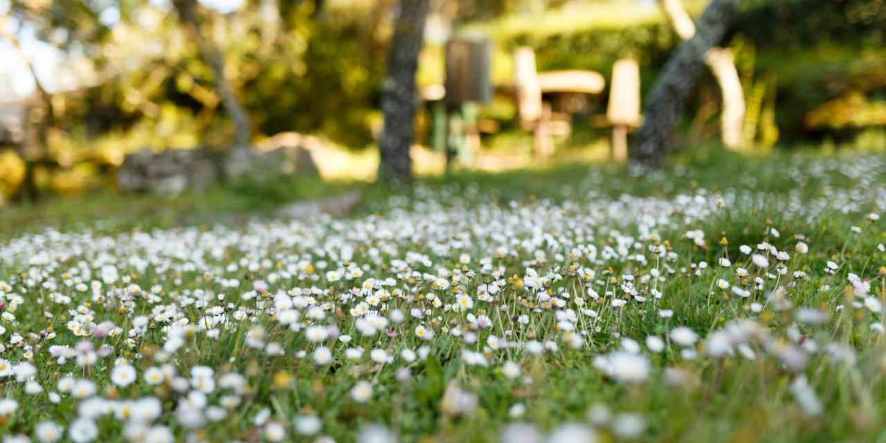 Quinta Dos Canteiros ファティマ エクステリア 写真