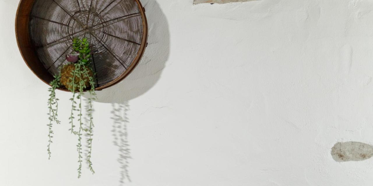 Quinta Dos Canteiros ファティマ エクステリア 写真